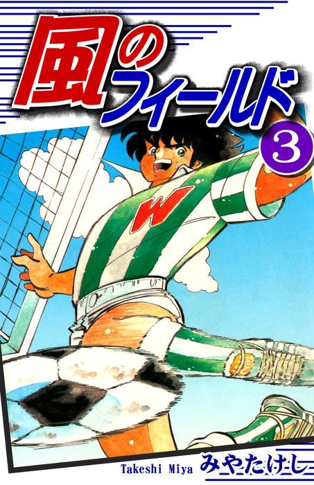 風のフィールド [3巻]
