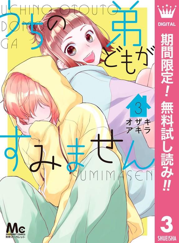 うちの弟どもがすみません [3巻]