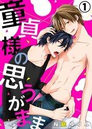 童貞様の思うがまま(1)