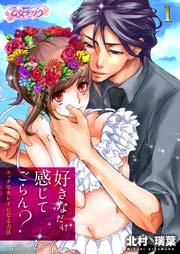 好きなだけ感じてごらん?~エッチでキレイになる方法~ 1巻