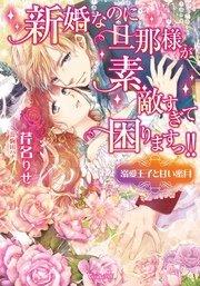 新婚なのに旦那様が素敵すぎて困りますっ!!~溺愛王子と甘い蜜月~