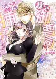 暴君御曹司に捕まりました~究極一途な溺愛計画~【SS付】