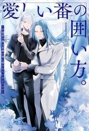 書影