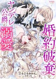 書影