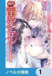 全年齢向け乙女ゲームの世界に転生した悪役令嬢は図らずも溺愛エロルートを解放する【ノベル分冊版】 1
