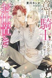 意中の騎士に失恋してヤケ酒呷ってただけなのに、なぜかお仕置きされました
