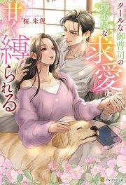 クールな御曹司の理不尽な求愛に甘く縛られる