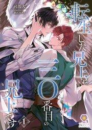 転生した兄上は三〇番目の兄上です 1