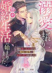 書影