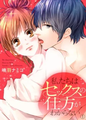 私たちはセックスの仕方がわからない1