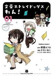 書影