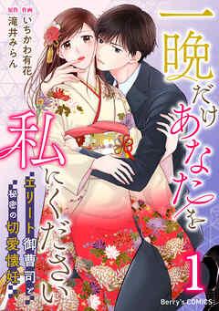 一晩だけあなたを私にください~エリート御曹司と秘密の切愛懐妊~