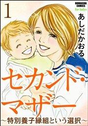 セカンド・マザー(分冊版) 【特別養子縁組という選択1】