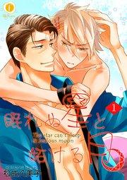 眠れぬ星と妬ける月 (1)