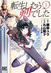書影