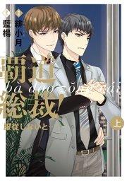 書影