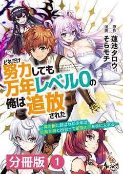 どれだけ努力しても万年レベル0の俺は追放された~神の敵と呼ばれた少年は、社畜女神と出会って最強の力を手に入れる~【分冊版】(ノヴァコミックス)