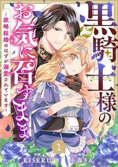 Berry’sFantasy黒騎士様のお気に召すまま~政略結婚のはずが溺愛されています~