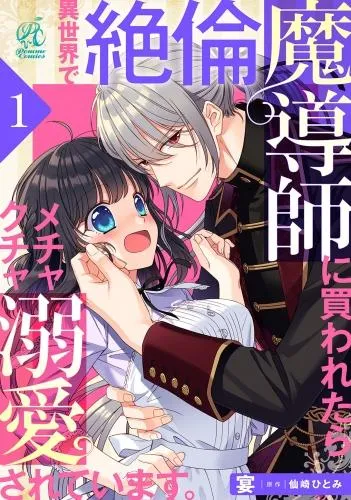 異世界で絶倫魔導師に買われたらメチャクチャ溺愛されています。