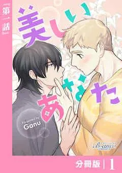 美しいあなた【分冊版】 1(ビアンココミックス) [1巻]