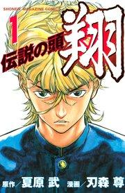 伝説の頭 翔(1)