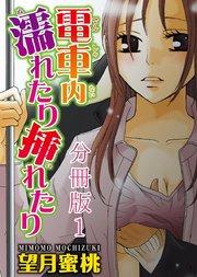 電車内濡れたり挿れたり【分冊版】1