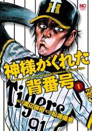 書影