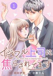 書影