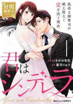 君はシンデレラ~孤高な御曹司が絶え間なく愛を注ぐ理由~【財閥御曹司シリーズ】 [1巻]
