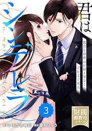 comic Berry’s君はシンデレラ~孤高な御曹司が絶え間なく愛を注ぐ理由~3巻 [3巻]