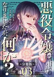悪役令嬢になりましたが、何か?3 [3巻]
