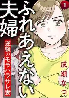 ふれあえない夫婦 逆襲のモラハラサレ妻(分冊版)