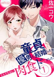 童貞優男と結婚したら、とんでもない肉食ドSでした。 1巻