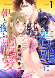 若頭に匿われて朝も夜も寵愛うけてます 1巻