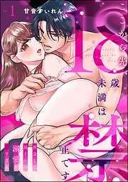 ここから先、18歳未満は禁止です 再会した凪くんの溺愛が沼すぎる