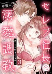 セレブ社長の溺愛調教~感じる表情もっと見せて / [3巻]