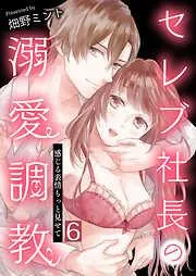 セレブ社長の溺愛調教~感じる表情もっと見せて / [6巻]