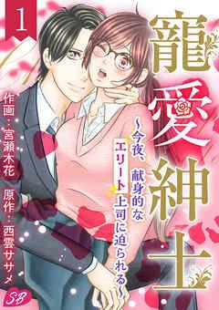 寵愛紳士~今夜、献身的なエリート上司に迫られる~