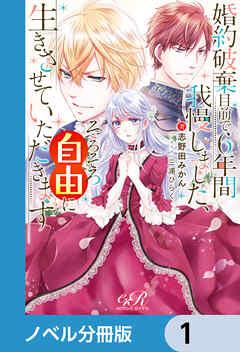 婚約破棄目前で6年間我慢しました【ノベル分冊版】