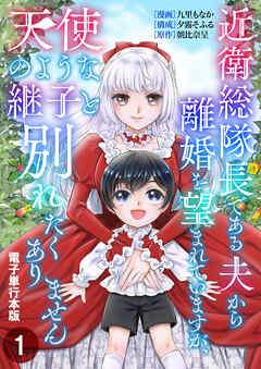 近衛総隊長である夫から離婚を望まれていますが、天使のような継子と別れたくありません【電子単行本版】 / [1巻]