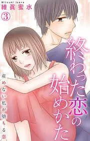 終わった恋の始めかた 産めない私が堕ちる恋 [3巻]