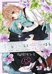 キミと越えて恋になる [15巻]