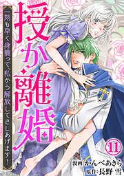 授か離婚~一刻も早く身籠って、私から解放してさしあげます!11 [11巻]