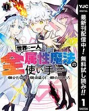 世界に一人、全属性魔法の使い手 [1巻]