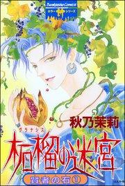 賢者の石(分冊版) 【第1話】