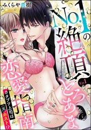 No.1の絶頂とろあま恋愛指南 カタブツ上司は(元)ホスト!?(分冊版) 【第1話】