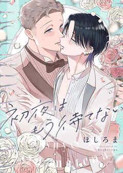 初夜はもう待てない [1巻]
