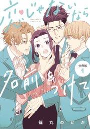 恋じゃないなら名前をつけて 分冊版(1)