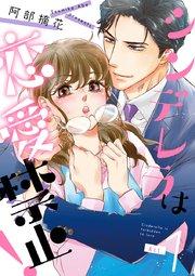 シンデレラは恋愛禁止! 1巻