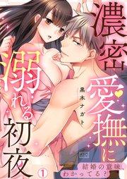 濃密愛撫に溺れる初夜~結婚の意味、わかってる? 1巻